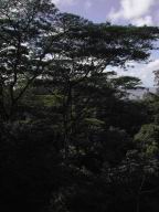 DSCN4327.JPG