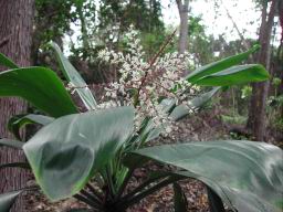 DSCN4340.JPG