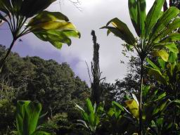 DSCN4352.JPG