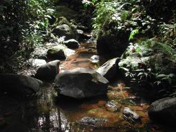 DSCN4372.JPG