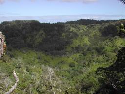 DSCN4407.JPG