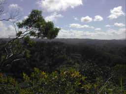 DSCN4415.JPG