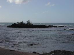 DSCN4428.JPG