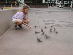 DSCN4454.JPG