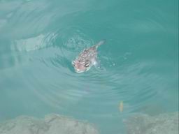 DSCN4472.JPG