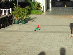 DSCN4530.JPG