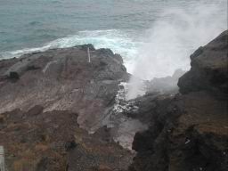 DSCN4700.JPG