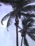 DSCN4727.JPG