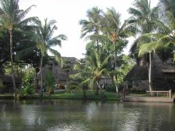 DSCN4730.JPG