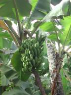 DSCN4759.JPG
