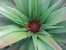 DSCN4793.JPG