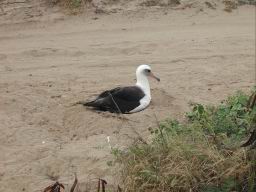 DSCN4818.JPG