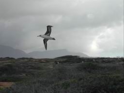 DSCN4830.JPG