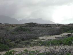 DSCN4831.JPG