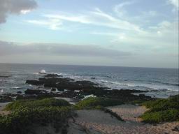 DSCN4856.JPG