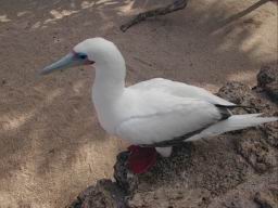 DSCN4968.JPG