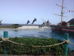 DSCN4979.JPG