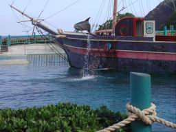 DSCN4980.JPG