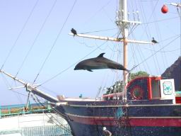 DSCN4987.JPG