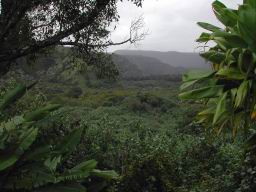 DSCN5132.JPG