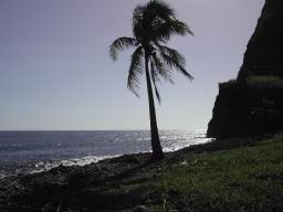 DSCN5147.JPG