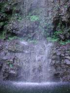 DSCN5172.JPG