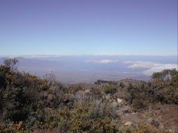 DSCN5192.JPG