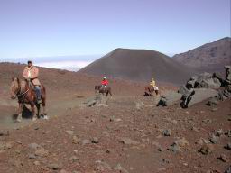 DSCN5217.JPG