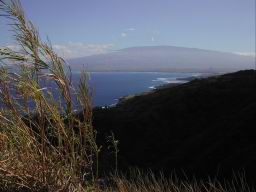 DSCN5341.JPG