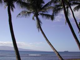 DSCN5356.JPG