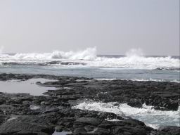 DSCN5419.JPG