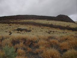 DSCN5449.JPG
