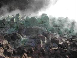 DSCN5482.JPG