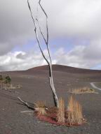 DSCN5523.JPG
