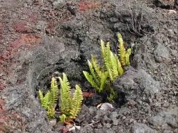 DSCN5526.JPG