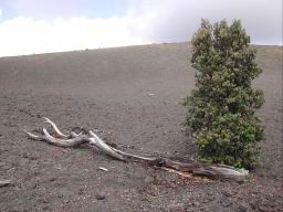 DSCN5533.JPG