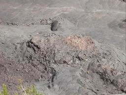 DSCN5540.JPG