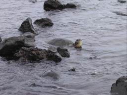 DSCN5566.JPG