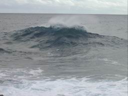 DSCN5623.JPG