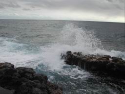 DSCN5643.JPG