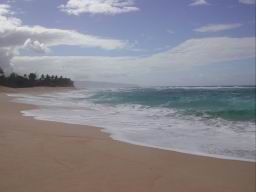 DSCN5698.JPG