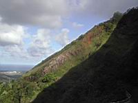 DSCN0400.JPG