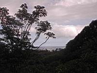 DSCN0439.JPG