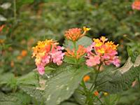 DSCN0445.JPG