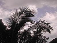 DSCN0453.JPG