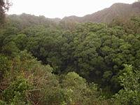 DSCN0465.JPG