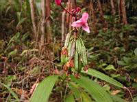 DSCN0469.JPG