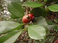 DSCN0470.JPG