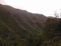 DSCN0485.JPG