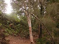 DSCN0491.JPG